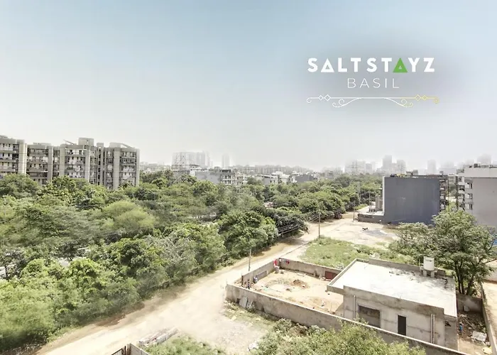 Saltstayz Basil - Near Golf Course Road & Extension Road