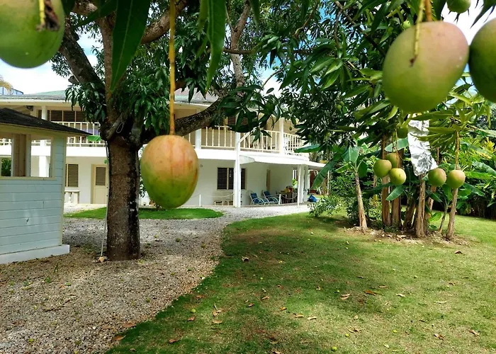 Hotel Casa Robinson