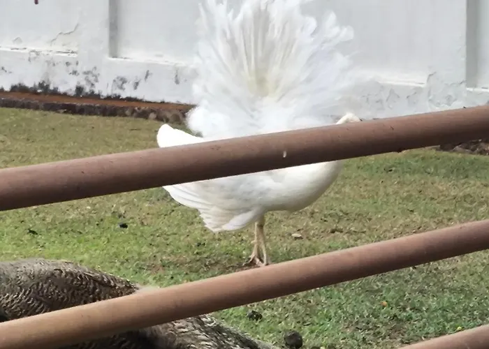 Pousada Nossa Senhora