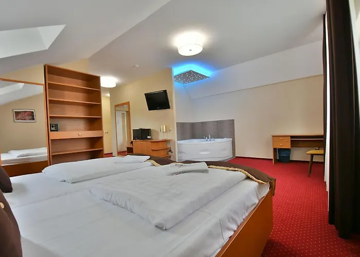 Hotel Platan