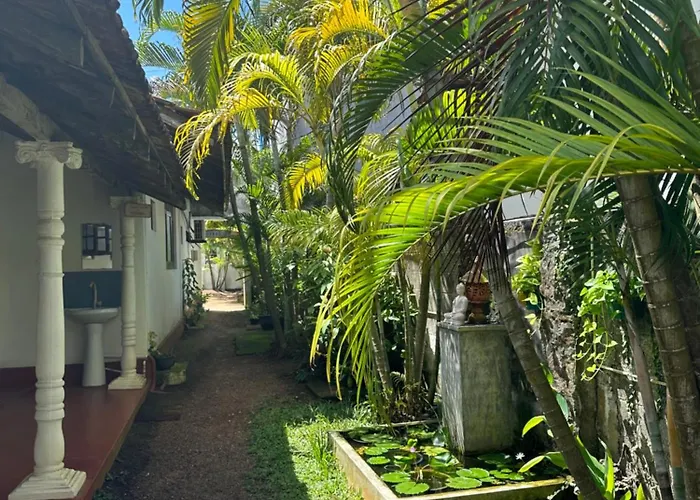 The Calm Palm