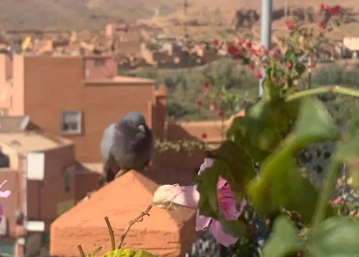 Hotel Riad Atlas Dades