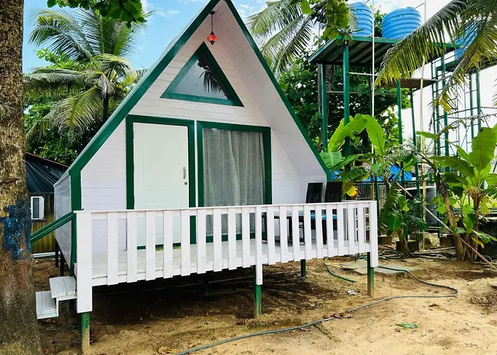 Eco Wooden Homes