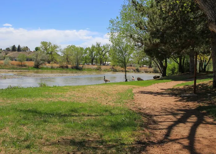 Riverwood Resort On The Gunnison