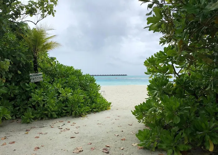 Dhiffushi Tourist Hotel