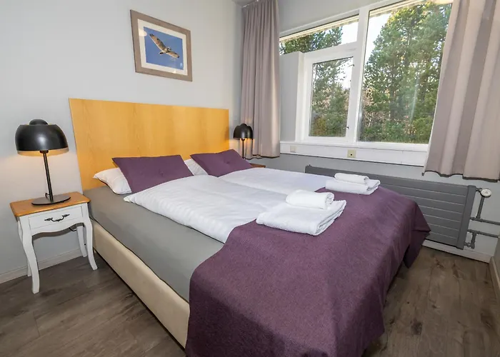 Hotel Kjarnalundur- Aurora Dream - Lodges And Rooms