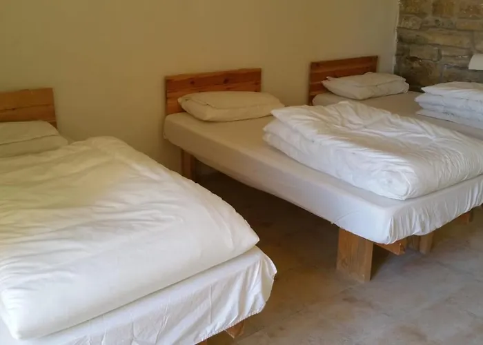 Fig Tree Hotel