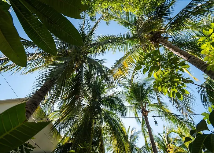 Hotel Villa Mozart Y Macondo