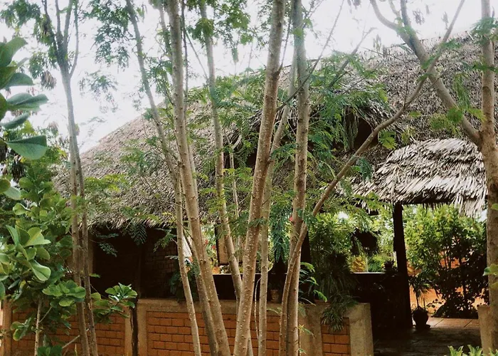 Vineyard Retreat Voi