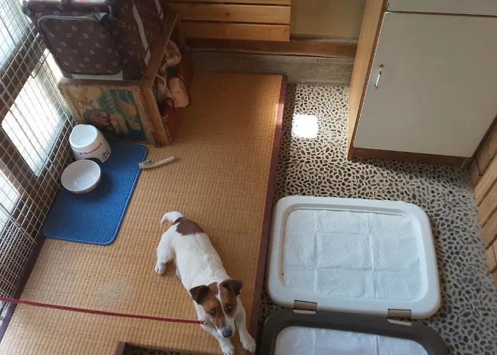 Yamanouchi Sekisanchi - Vacation Stay 24043V