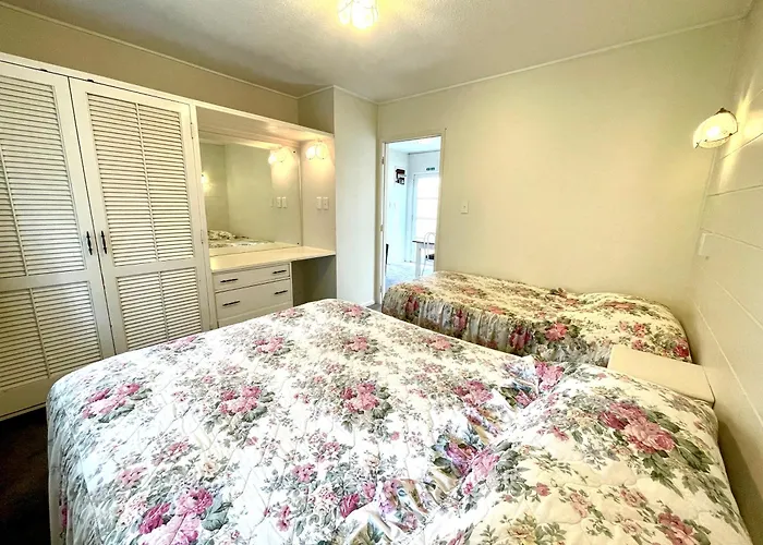 Browns Bay Olive Tree - Pet Friendly Family Apartment