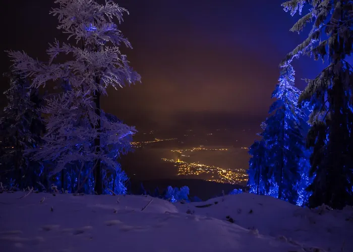 Schönblick Hohenbogen