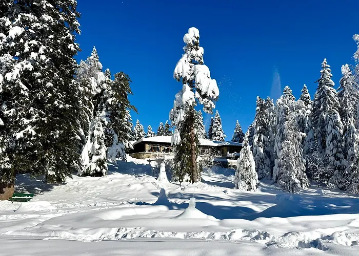 Hotel Bor