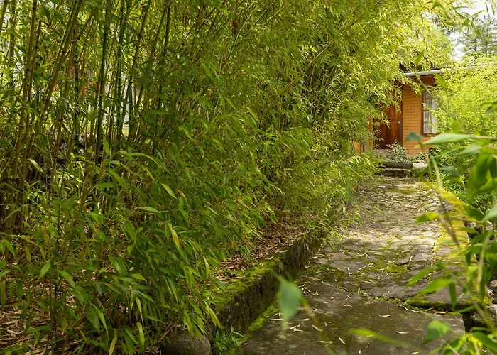 Tiger'S Nest Resort - Best Resort In Paro
