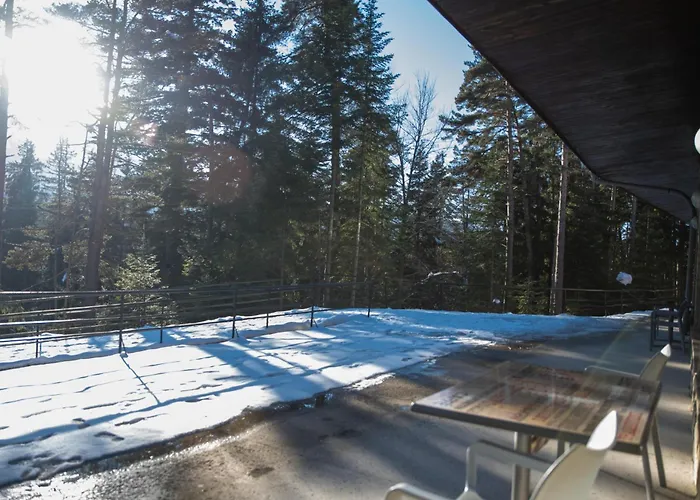 Hotel Borovets Edelweiss