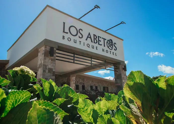 Hotel Boutique Los Abetos