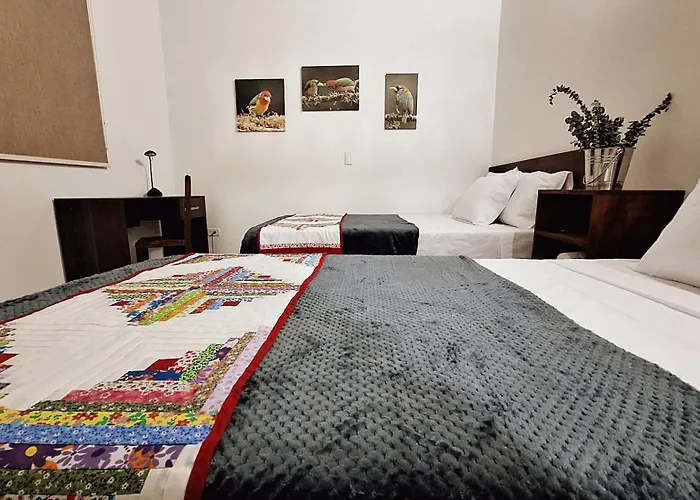 Volarte Hotel