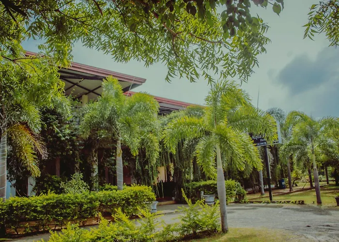 Tashi hotel