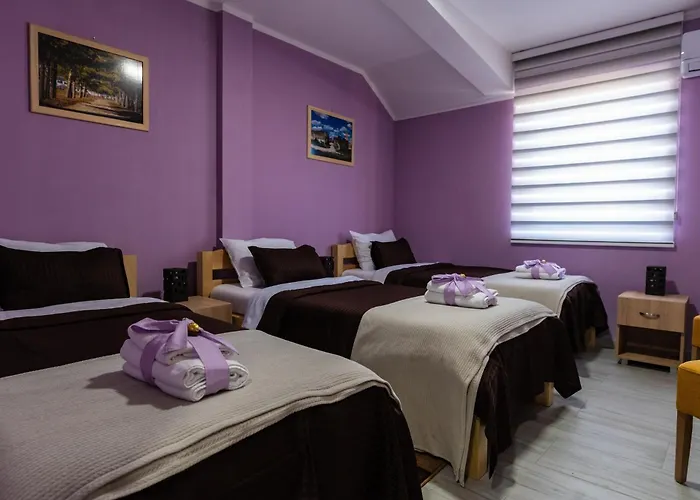 Smestaj & Spa Protic