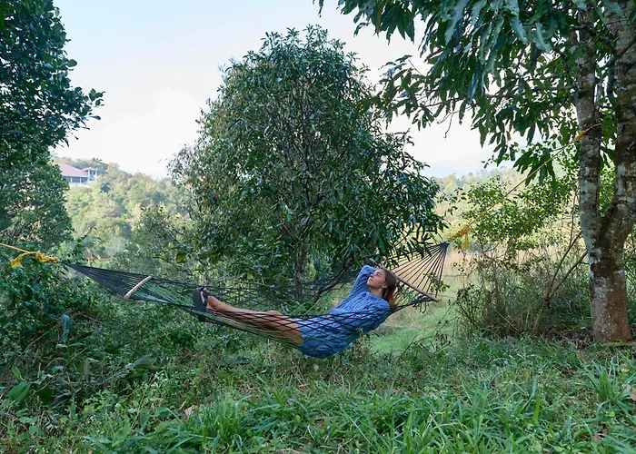 Velvet Revive Munnar