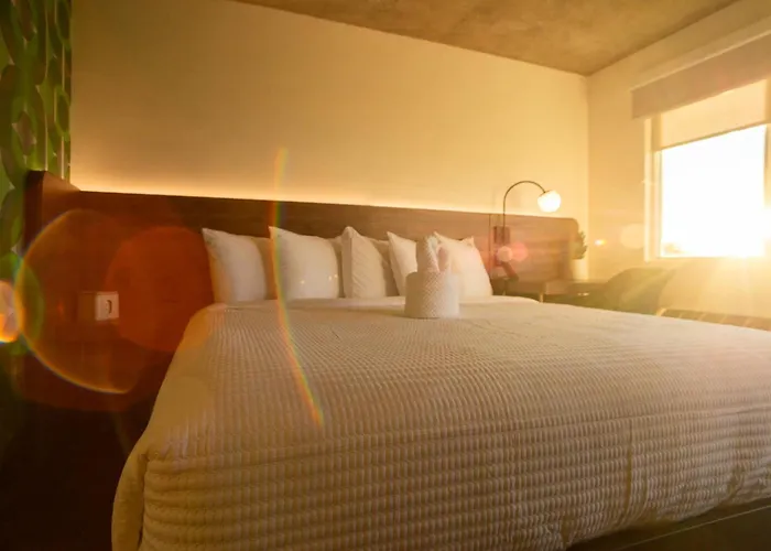 The Alice Hotel