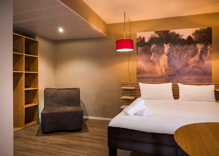 Ibis Arles