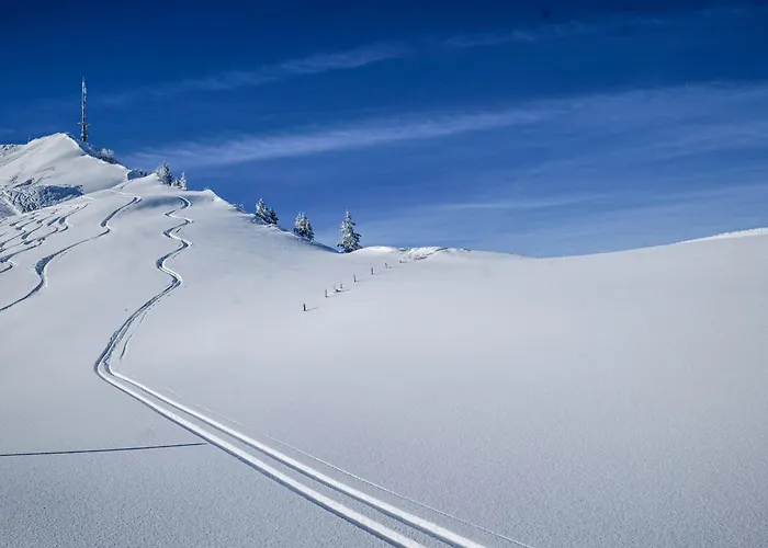 Berghotel Hahnenmoos
