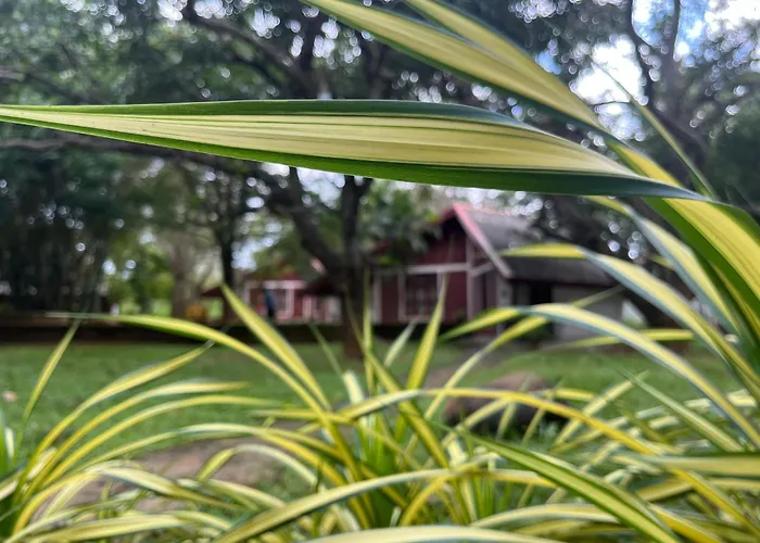 Royal Green Garden - Puttalam