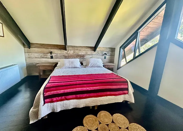 Newen B&B