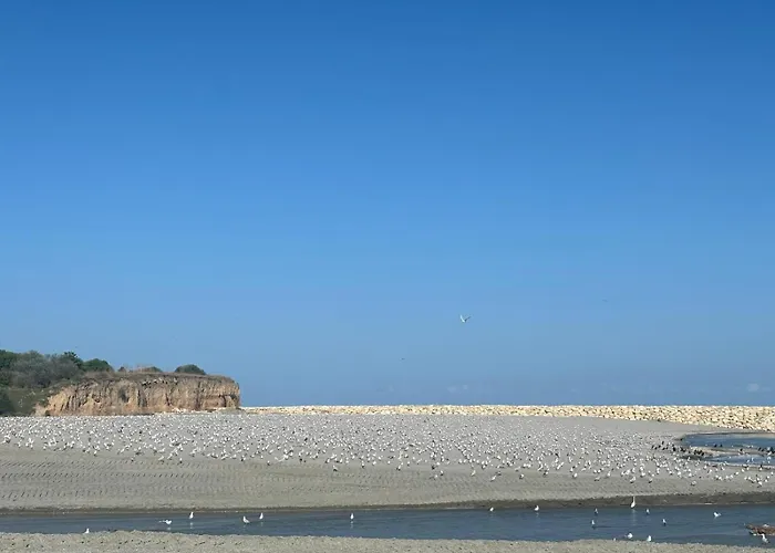 Hacienda De Mare