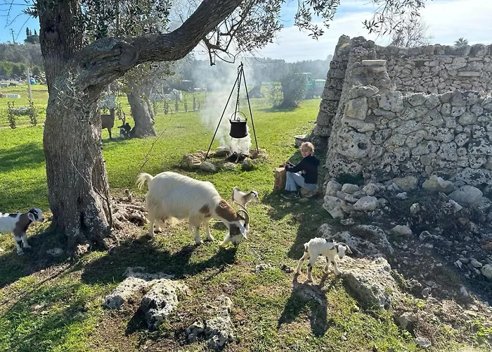 Tenuta Cursano