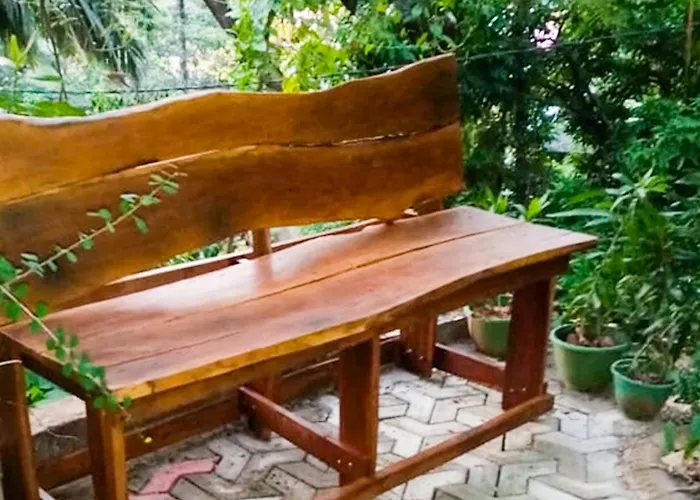 Dhighayu Ayurvedic Wellness Resort