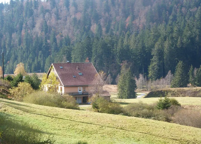 Domaine Des Hauts Viaux