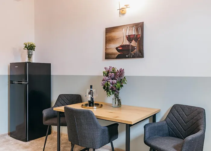 Hotel Agora Mures