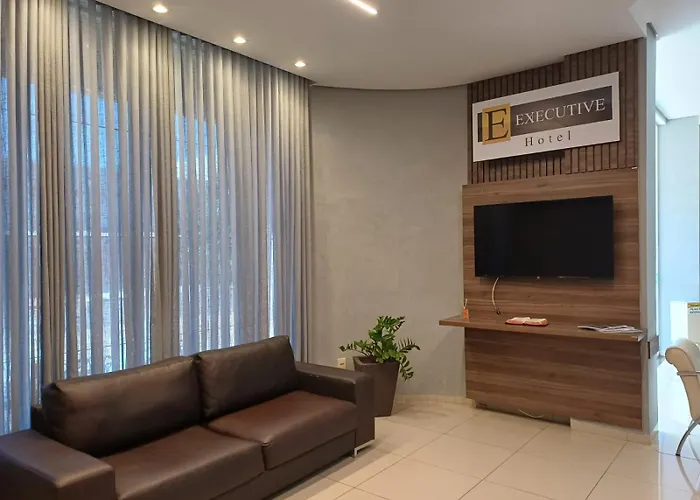 Executive Hotel Mt