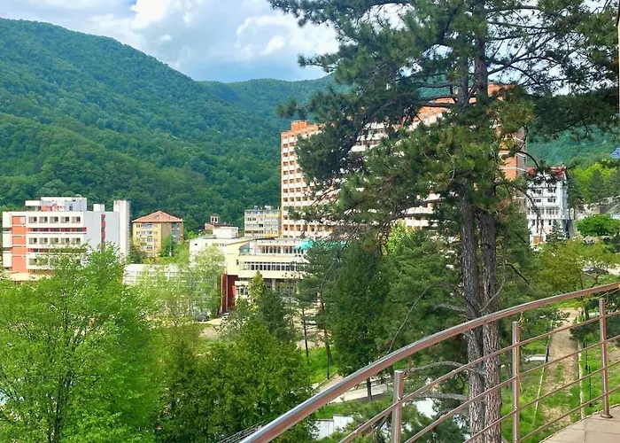 Hotel International