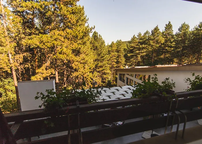 Family Hotel Borova Gora