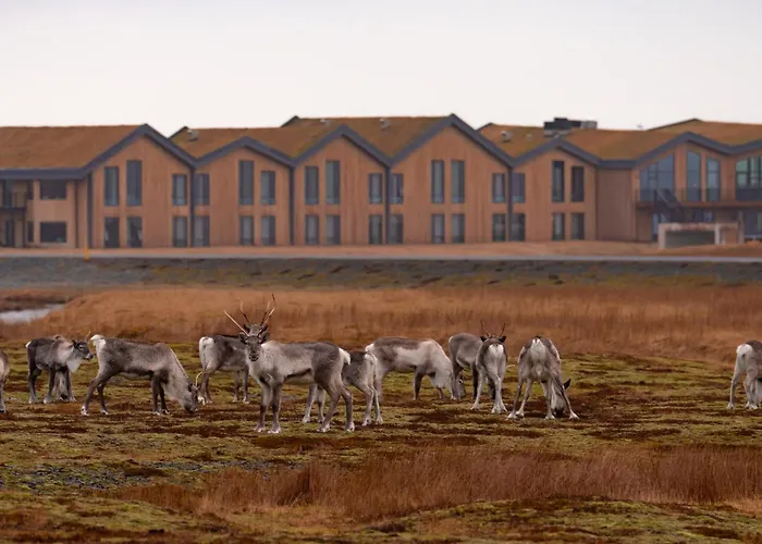 Hótel Jökulsárlón - Glacier Lagoon Hotel