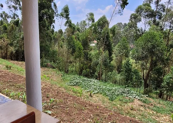 Kamengo Cottages