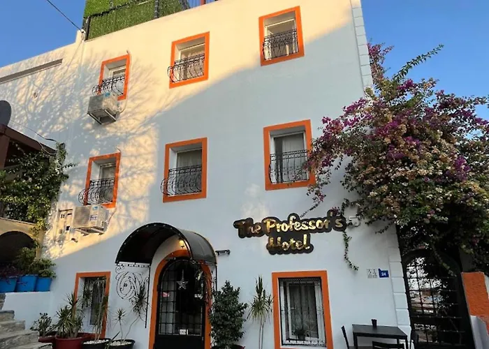 The Professor'S Hotel