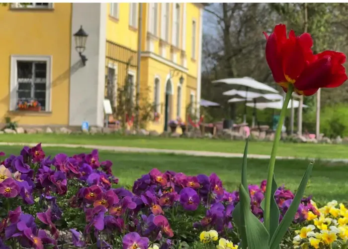 Pałac Łomnica Karkonosze - Schloss Lomnitz Riesengebirge