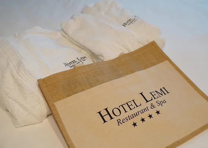 Hotel Lemi
