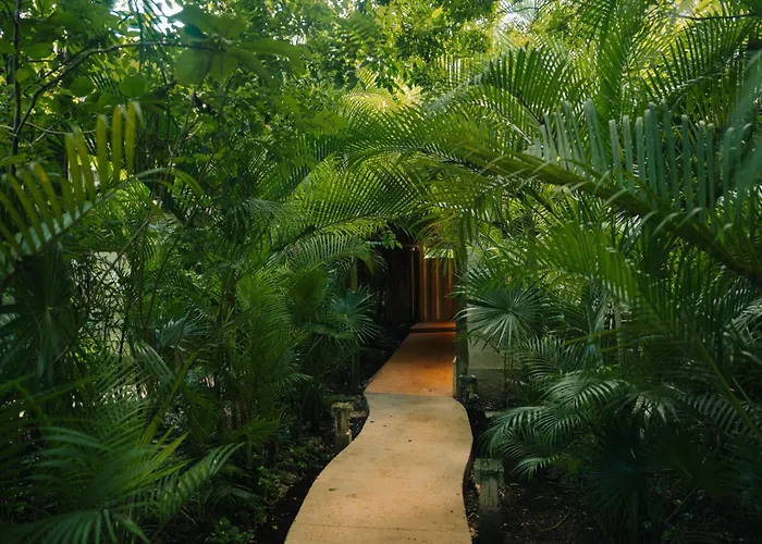 Aldea Coba An Escape Boutique Experience