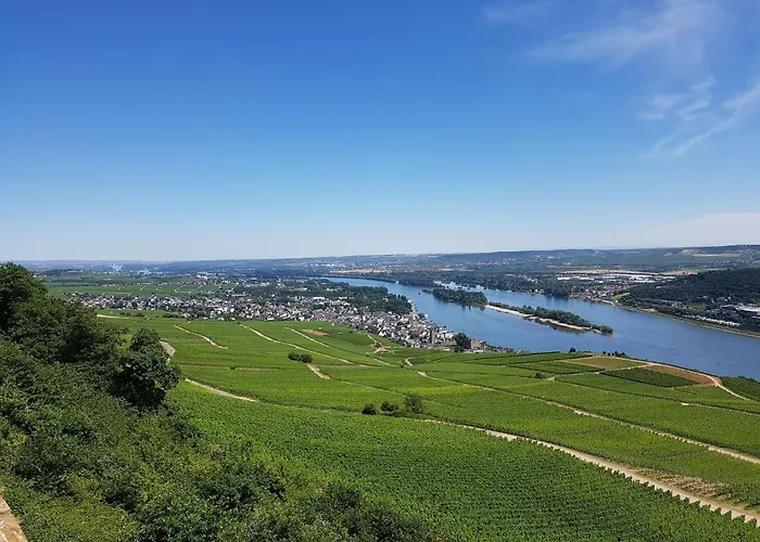 Winzerhaus Johannisberg - Weingut Michael Gietz
