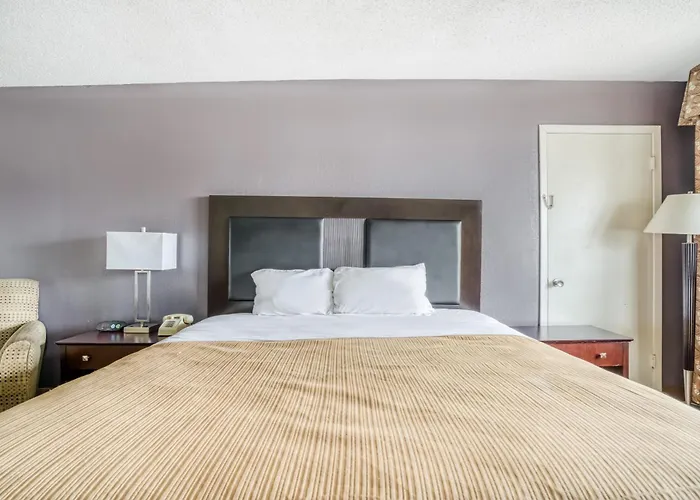 Oyo Hotel Alexandria La- Hwy 165