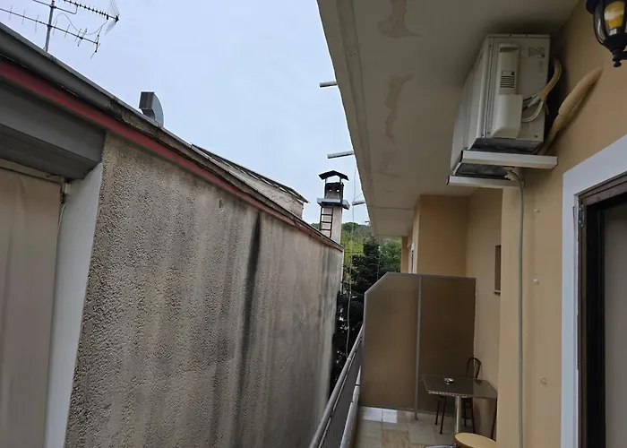 Spartacus House
