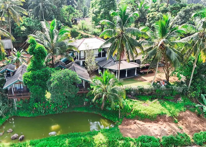 Rainforest Nest