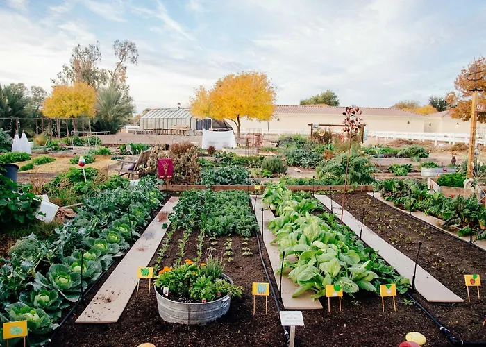 Holiday Inn Express & Suites - Gilbert - East Mesa By Ihg