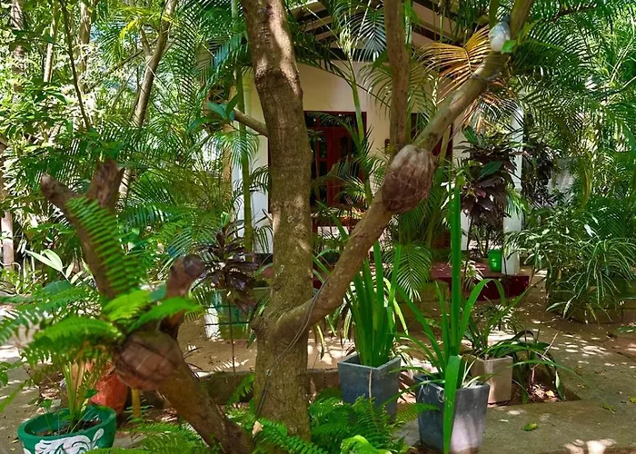 Rivinu Place Arugambay