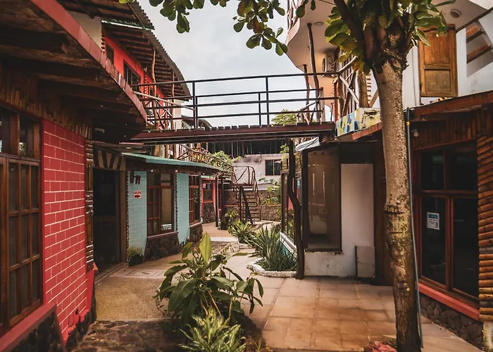 Hotel Miconia